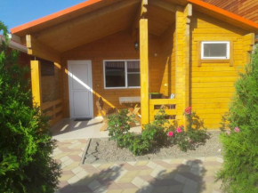 Holiday home Patio Azov